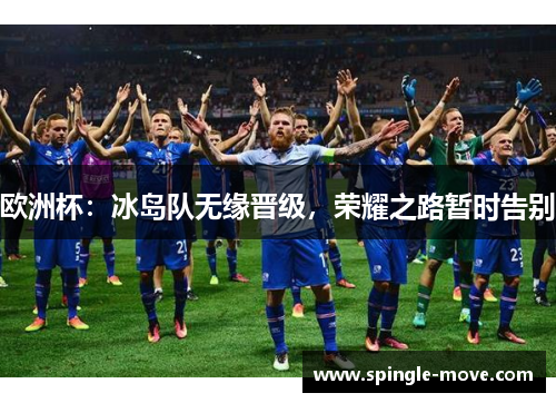 欧洲杯：冰岛队无缘晋级，荣耀之路暂时告别